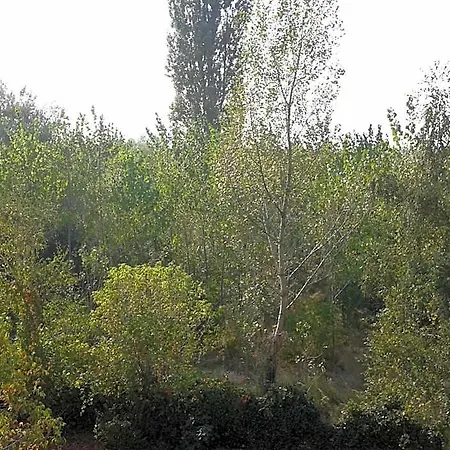 B&B Ξενοδοχείο